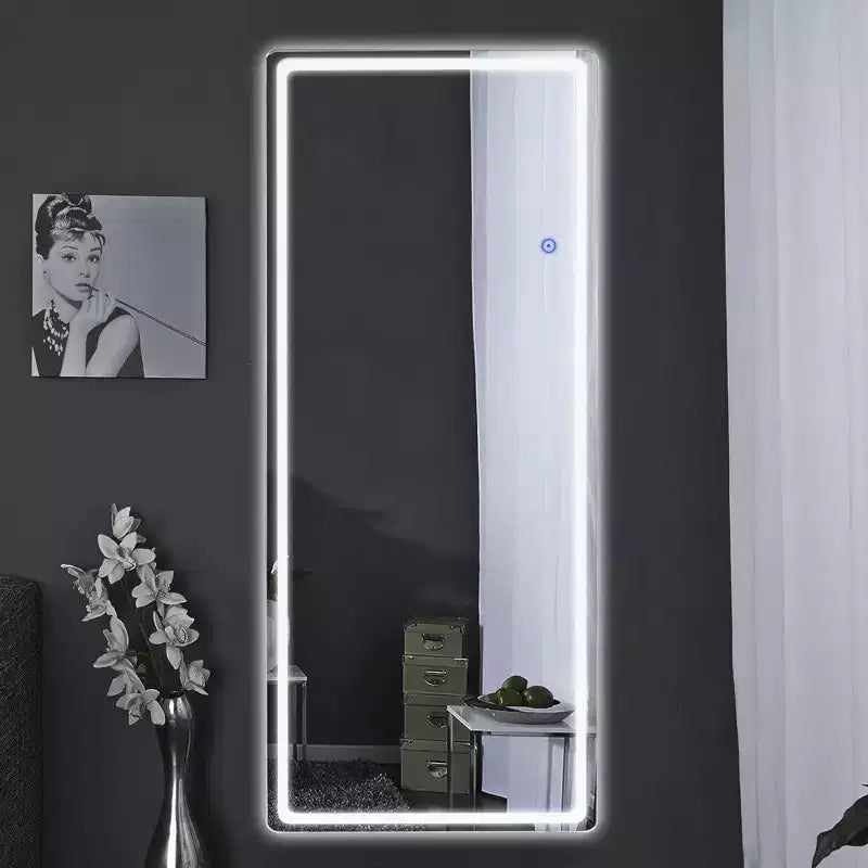 63x20 LED Rectangle Floor Mirror with Stand, HD Full-length Mirror with Aluminum Alloy Frame and 3 Color Temperature, Silver