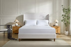 Okak 54Queen Size Bed Frame with Upholstered Wingback, Premium Chenille Platform Bed with Minimalist Design for Bedroom,Cream